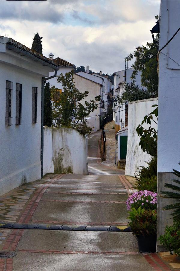 Hostal Moncada เกาซิน ภายนอก รูปภาพ