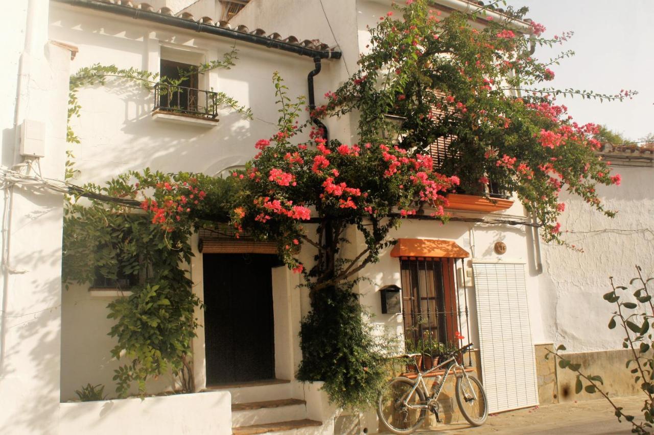 Hostal Moncada เกาซิน ภายนอก รูปภาพ