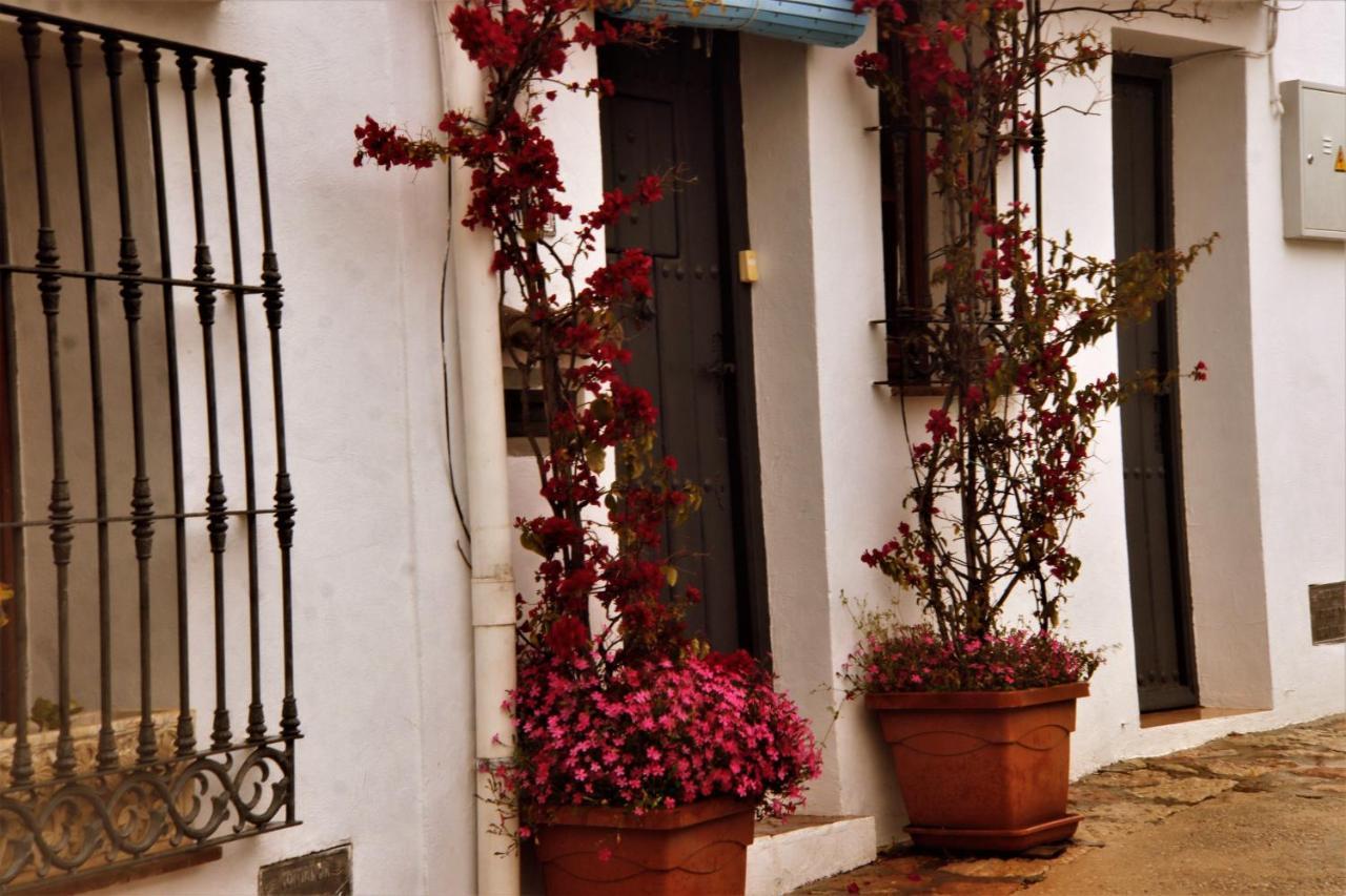 Hostal Moncada เกาซิน ภายนอก รูปภาพ